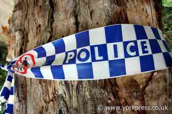 Body found in search for missing Sophie Lambert of Starbeck