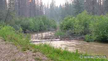 Take a breather: enjoy a 5-minute mindfulness nature walk