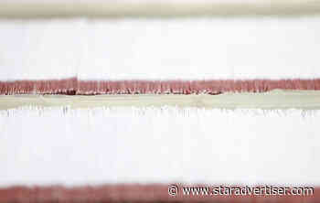 Kokua Line: Who gets to revote in Hawaii Kai?