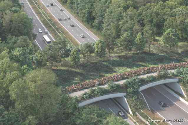 Ring gaat dit weekend helemaal dicht voor afbraak Vlasmarktbrug: stevige verkeershinder verwacht