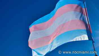 Florida medical board approves emergency rule on trans care for children, adults