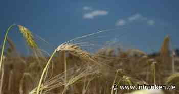 Schlechtere Getreideernte wegen Trockenheit erwartet