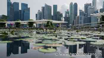 Swiss Life wird in Singapur wegen Richtlinien-Verstössen gebüsst