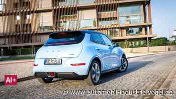 Nur wenige chinesische Hersteller werden sich dauerhaft etablieren