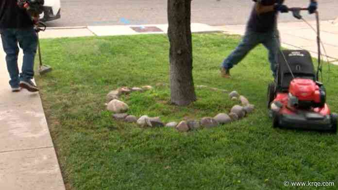 New app set to help Albuquerque landscaping businesses