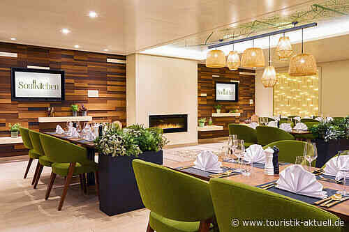 Aida: Neues veganes Restaurant