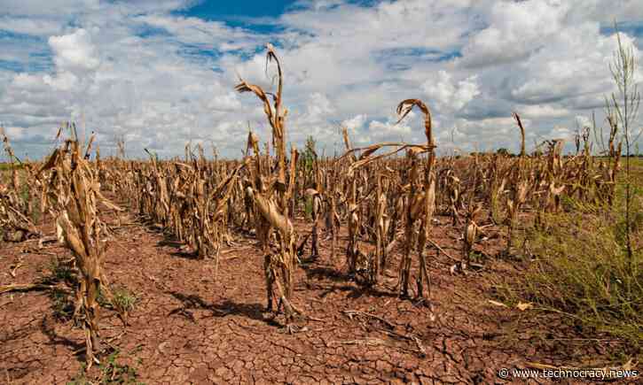 Doug Casey: The War On Farmers Could Trigger A Famine