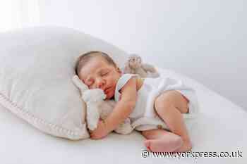 Ready to meet Romeo and co - big hello to York's new babies