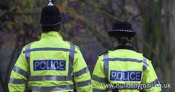 Teen in court after cannabis 'worth £29,000' seized in Hull