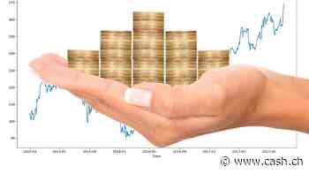Schweizer Privatanleger erwarten weiterhin zweistellige Anlagerenditen