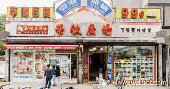 Hidden in a Mini-Mall in Flushing, a Home for Art