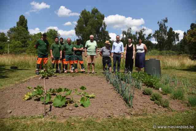 Lokaal dienstencentrum Zilverpand heeft eigen pluktuin