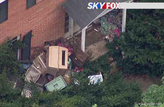 Investigation continues after 146 dead dogs found in home of animal rescue president