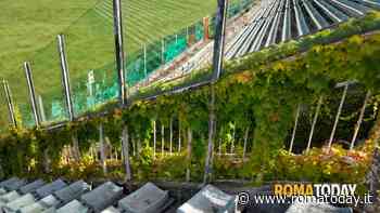 Stadio Flaminio, il Campidoglio non vuole pagare la riqualificazione: per il rilancio servirà l'intervento di Meloni