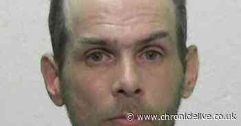 Pervert who carried out 'bizarre' sex act on baby herring gull in Sunderland is jailed