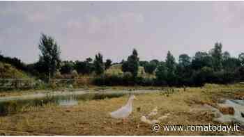 Il VI Municipio vuole prendere in carico due aree verdi del territorio