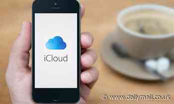 TikTok user shares genius hack to avoid paying for iCloud storage - without having to delete photos