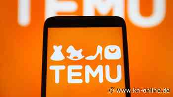 Temu: App bricht Download-Rekorde - Shopping für den Mülleimer?