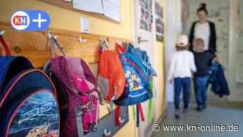 Petition in Schleswig-Holstein fordert beitragsfreie Kita und dritte Kraft