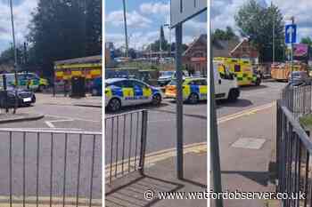 'Person struck by train' on tracks near Bushey station