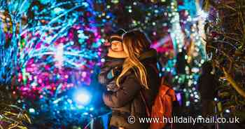 Sell-out festive event Sewerby Winter Woodland is back with a new theme for Christmas 2023