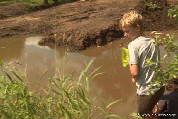 Vissen gestorven bij hermeandering Nete: dam opnieuw open gelegd