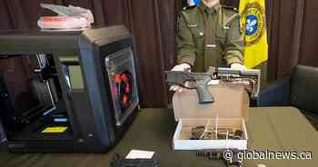 Dozens arrested, hundreds of guns seized during police raids in 8 provinces