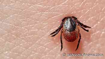 Colorado wants you to mail in your ticks