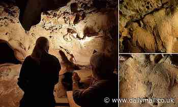 Neanderthal cave engravings in French cave are 'oldest ever found'  