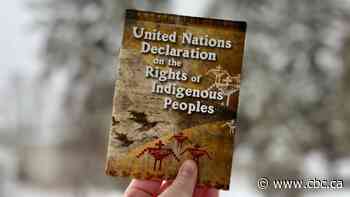 Ottawa releases plan to implement UN Declaration on the Rights of Indigenous Peoples