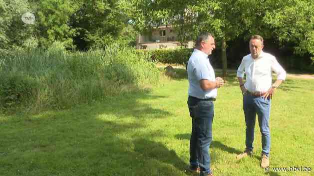 Politieke rel over naam werpt schaduw over fusiegesprekken tussen Bilzen en Hoeselt