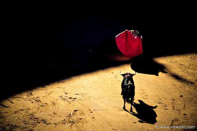 “Yes, This Is A Bull Market” Expert Explains Why Bitcoin Will Outperform Tesla’s +162%