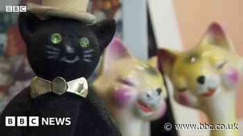 Search under way to find new home for Kipper's Cat Meowseum