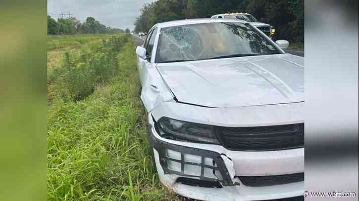 Man hit, killed while crossing Nicholson Drive early Wednesday