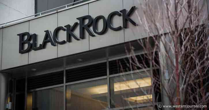Undercover Video Exposes BlackRock Recruiter Bragging About How Little It Takes to 'Buy a Senator'