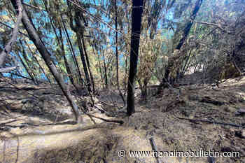 B.C. Chamber CEO calls for urgent reforms to disaster assistance programs