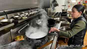 Gas price cap 'overwhelmed by suppliers' strike'. So where to now for the government to limit energy price rises?