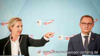 Jetzt erst Recht: Protest ist kein Grund, die AfD zu wählen