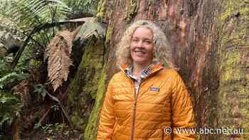 Environmentalists call for new national park near Melbourne to prevent future logging