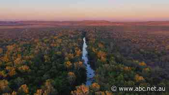 Outback national park made famous by Chris Hemsworth ad closes indefinitely