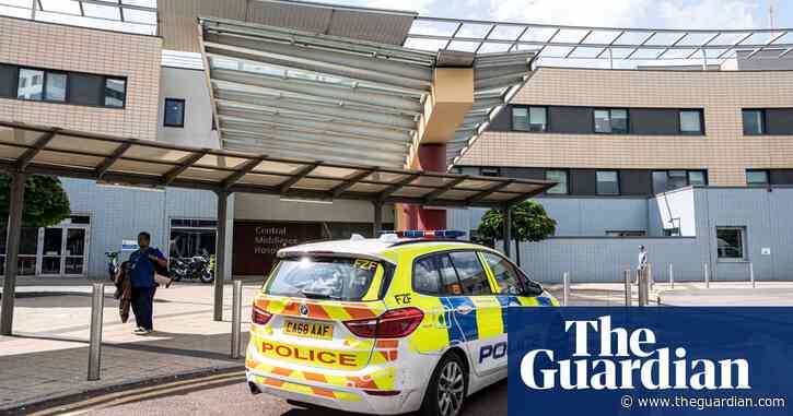 Man arrested after stabbings and pickaxe attack at London hospital, say police
