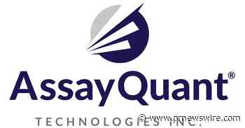 Kinetic Insights with AssayQuant's Fully Automated KinSight™ Kinome Profiling Services
