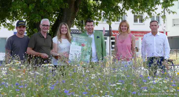 Blühendes Südhessen zieht Bilanz: 40.000 m2 Blühflächen in 21 südhessischen Kommunen angelegt