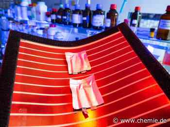 HZB und Universität Jena gründen Helmholtz-Institut für Polymere in Energieanwendungen