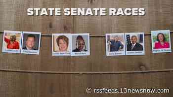 With primary elections over, here are the State Senate races across coastal Virginia to watch