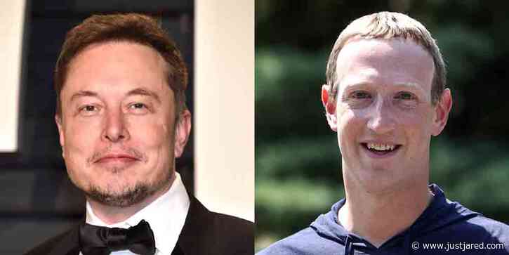 Mark Zuckerberg Agrees to Fight Elon Musk in Cage Match
