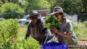 Churchyard harvest? Urban farmers get creative as more city dwellers shop local