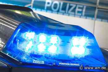 Hund beißt Kind – Polizei sucht Halterin
