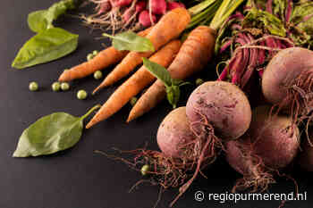 Wat zaai je in jouw moestuin in de maand juli?