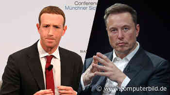 Kein Scherz! Mark Zuckerberg will mit Elon Musk in den Ring steigen